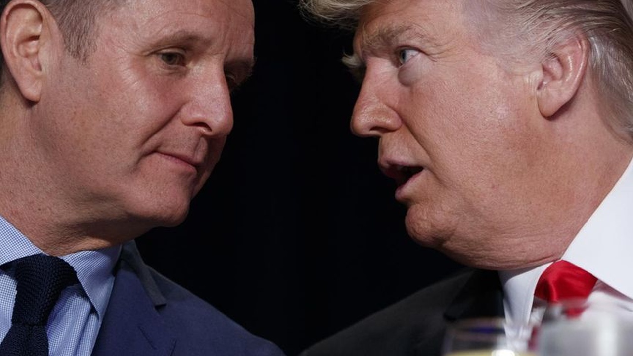 AfD und Trumps Bewegung: Ein Zerrbild?