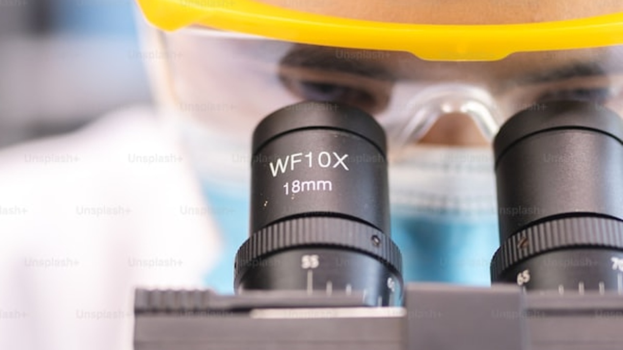 Deutsche Regierung und Medienkonzentration unter dem Mikroskop