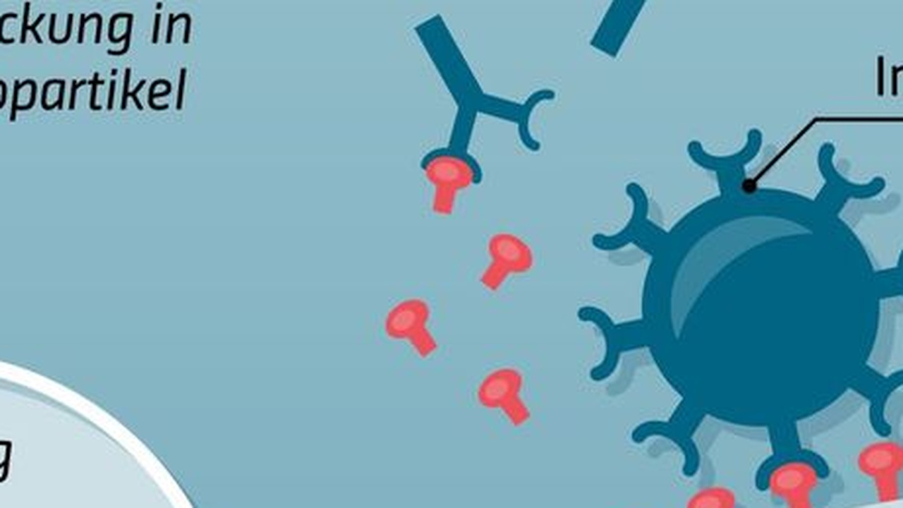 Die wahre Geschichte hinter den mRNA-Impfstoffen gegen COVID-19