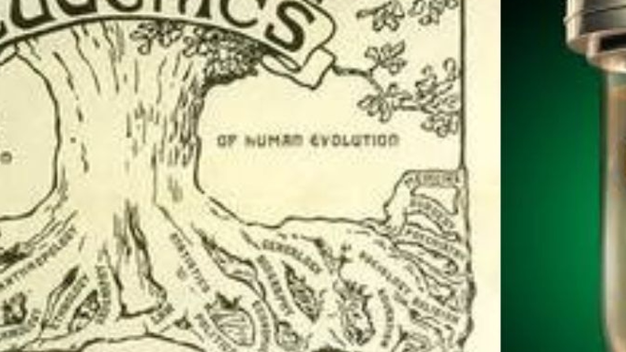 Eugenik-Technologie von Nucleus IVF+