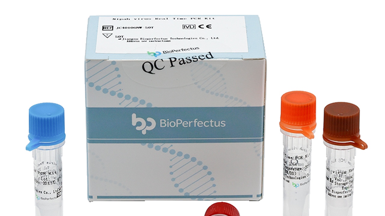 Falschpositive Nipah-PCR-Ergebnisse in Indien?