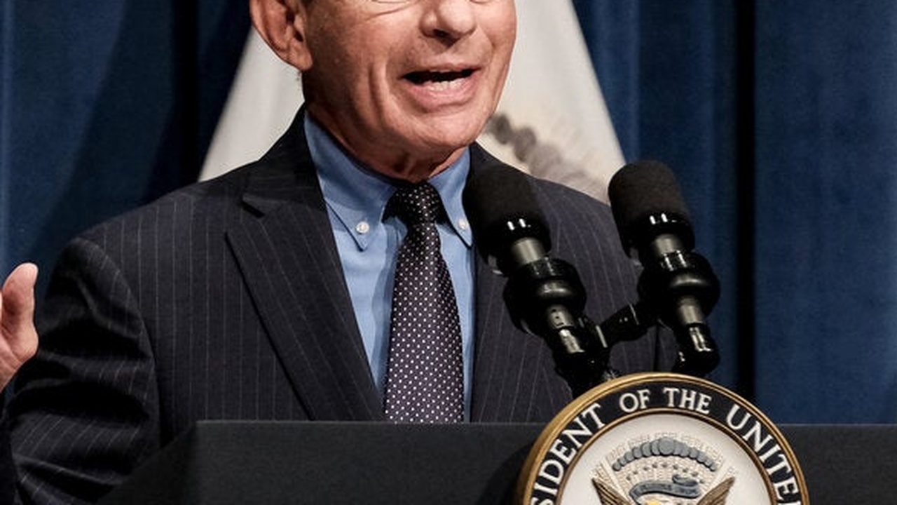 Fauci-Kritik: Peter Navarro behauptet, Wissenschaftler habe "Blut an den Händen"