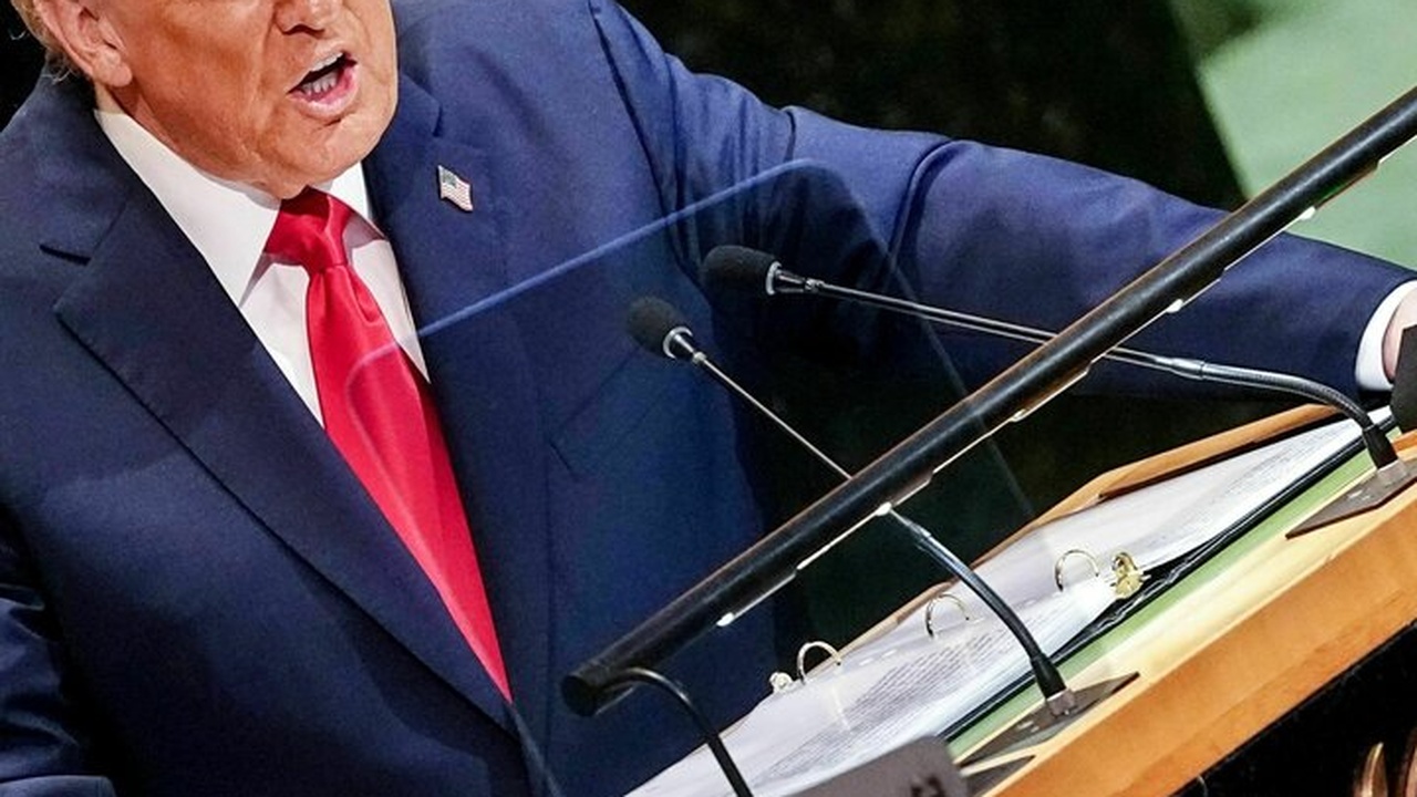 Kritik an der US-Außenpolitik unter Präsident Trump