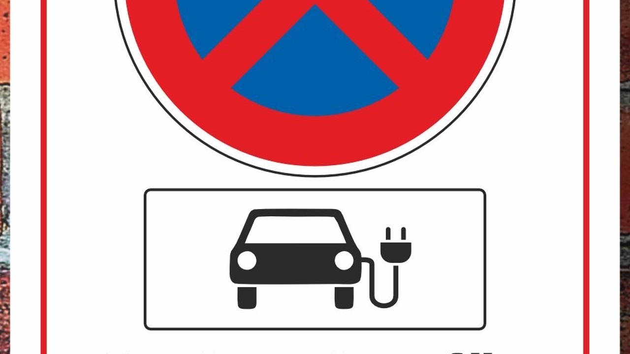 Polen verhängt Verbote für chinesische Elektrofahrzeuge