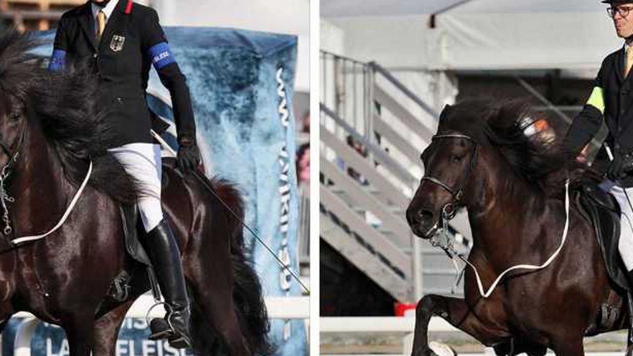 Rechtsstreit zwischen Frauke Brosius-Gersdorf und Stefan Weber