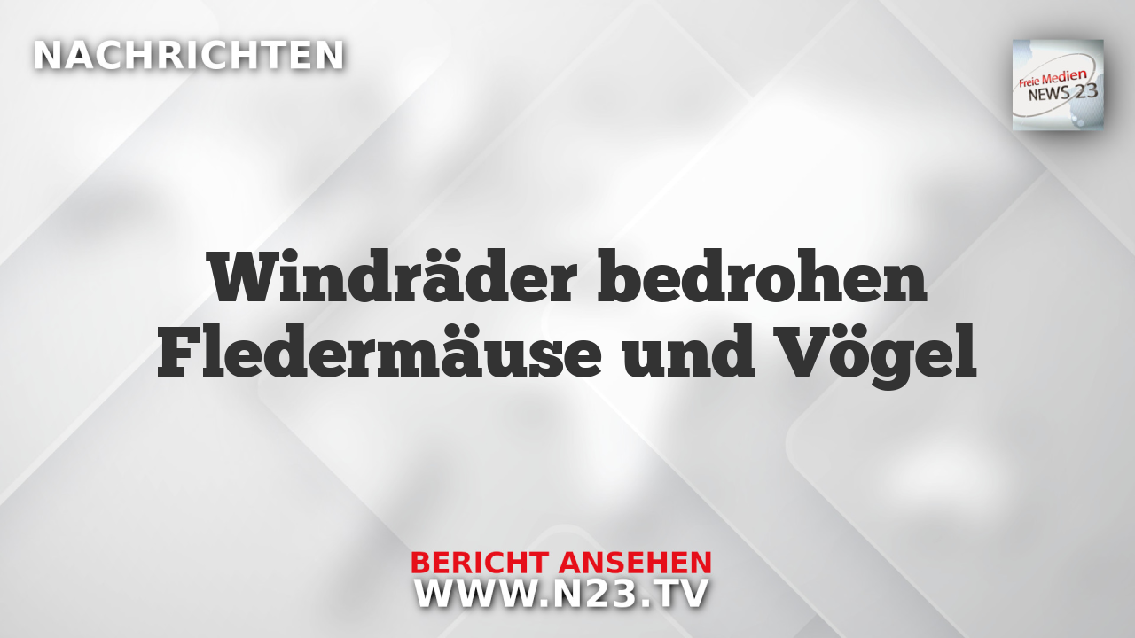 Windräder bedrohen Fledermäuse und Vögel