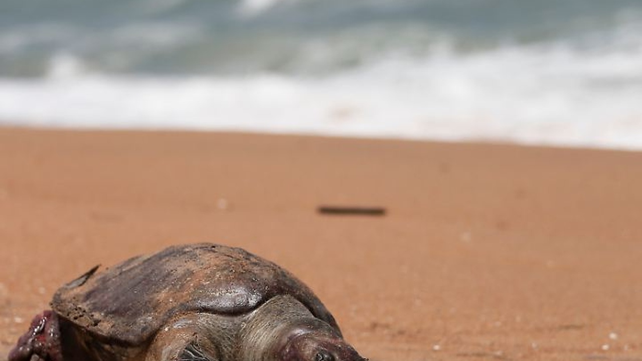 Sri Lanka erleidet schlimmste Naturkatastrophe seit zwei Jahrzehnten