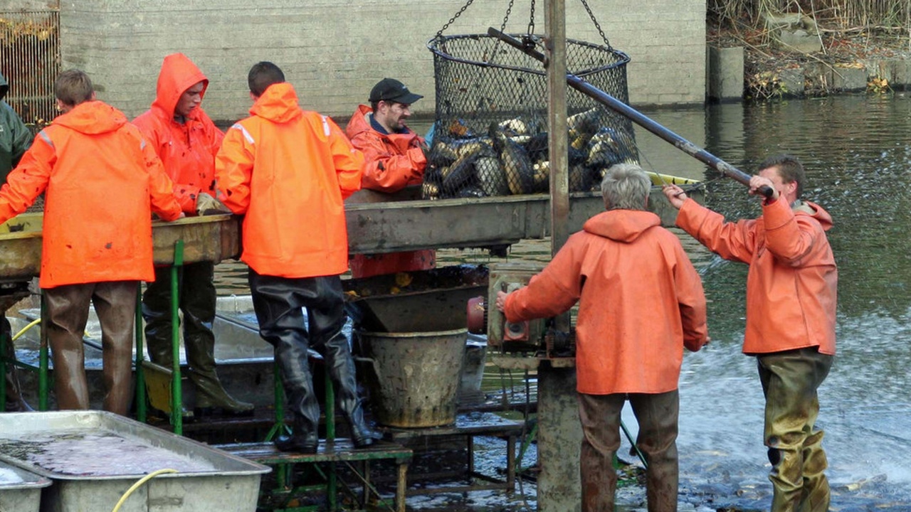 Bundesverfassungsgericht stoppt Abfischen von Serverdaten