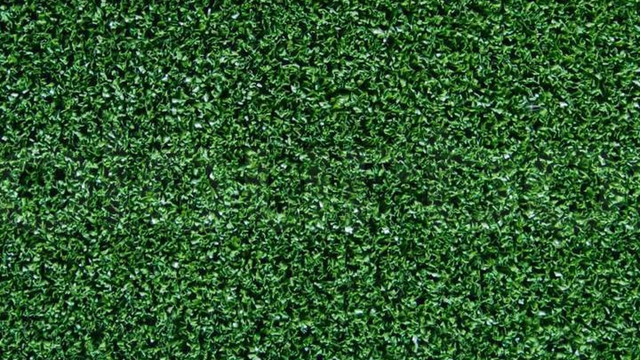 Die proeuropäische Jugendbewegung der 50er als Astroturf des US-Geheimdienstes?