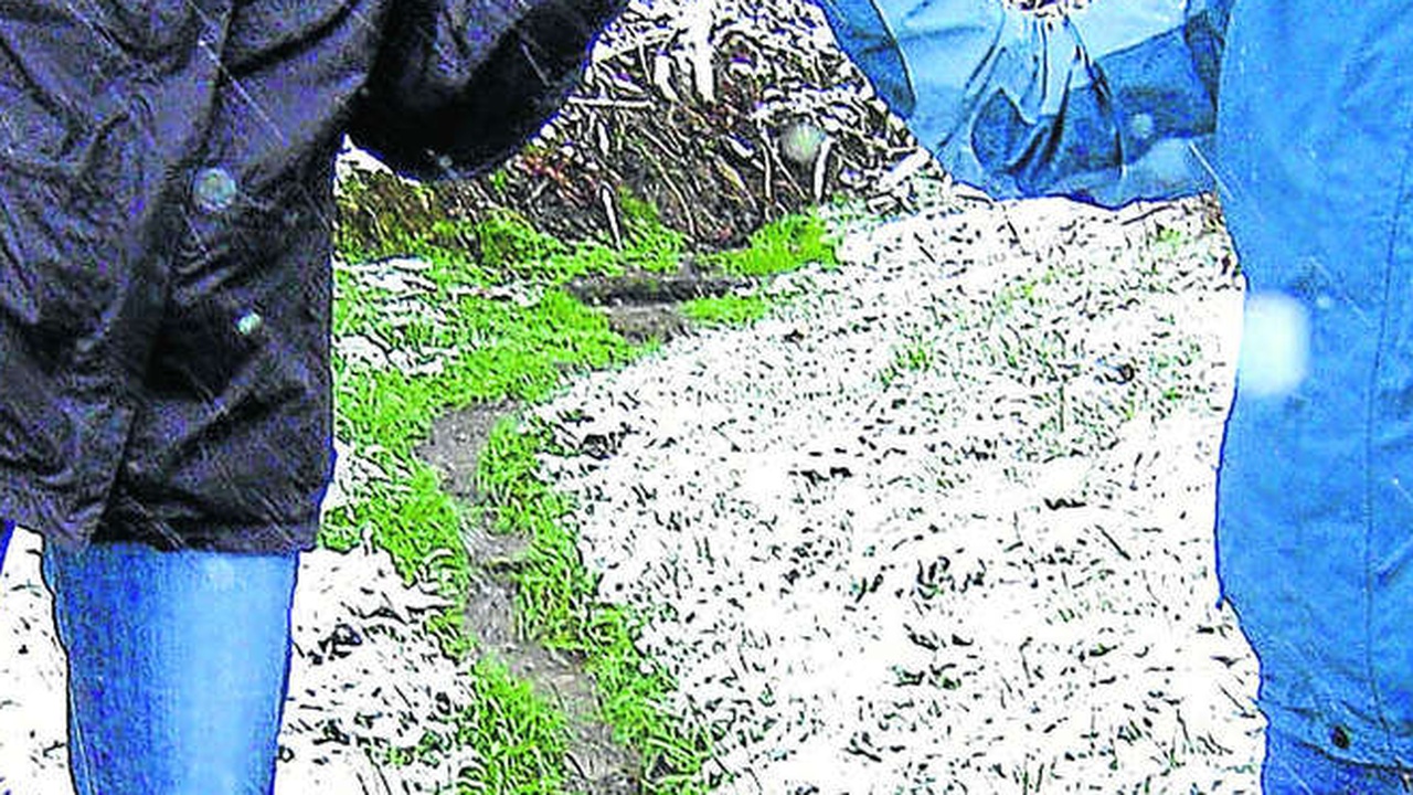 Quellenschutz siegt im Verfahren gegen Schweizer Investigativjournalist Lukas Hässig