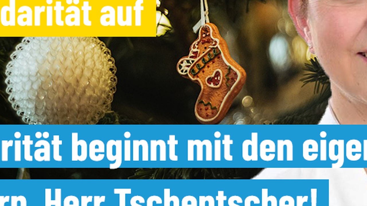 Steinmeiers Weihnachtsansprache: Kritik an der deutschen Solidarität mit der Ukraine