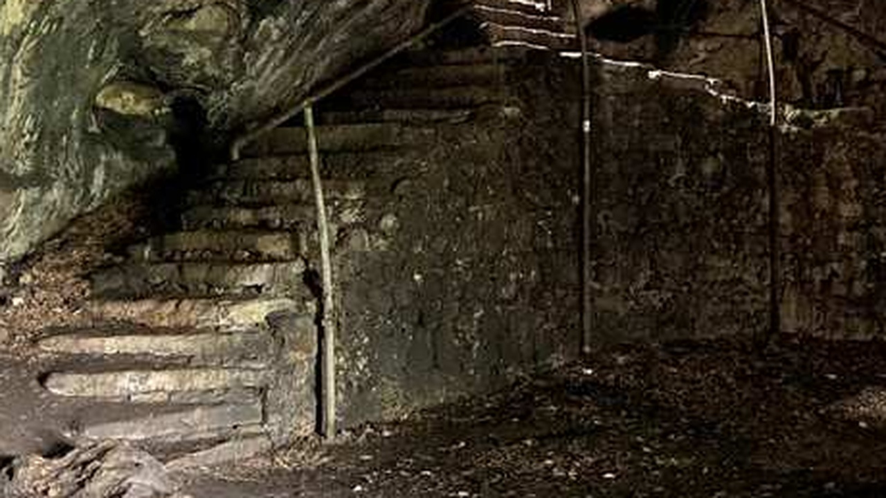 Steinmeier warnt vor "Räuberhöhle" der Welt