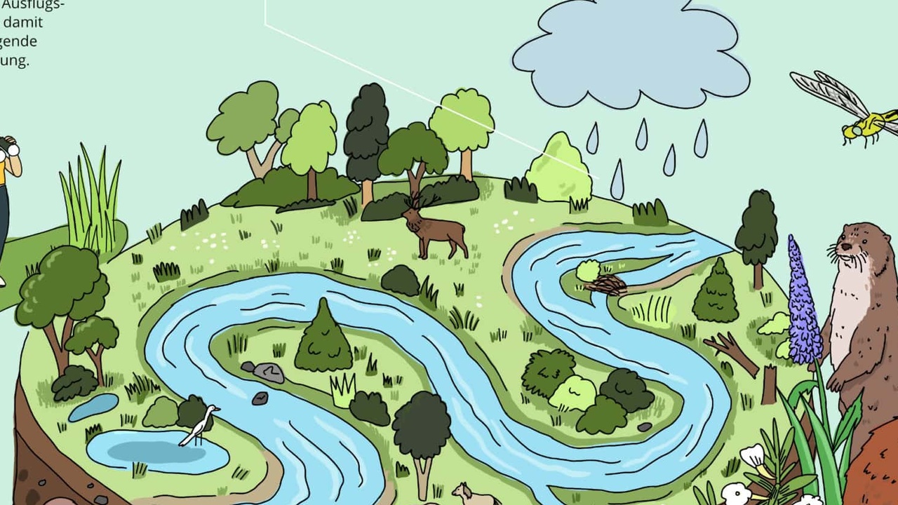 "Polen plant 'Renaturierung' an der Grenze zu Russland"