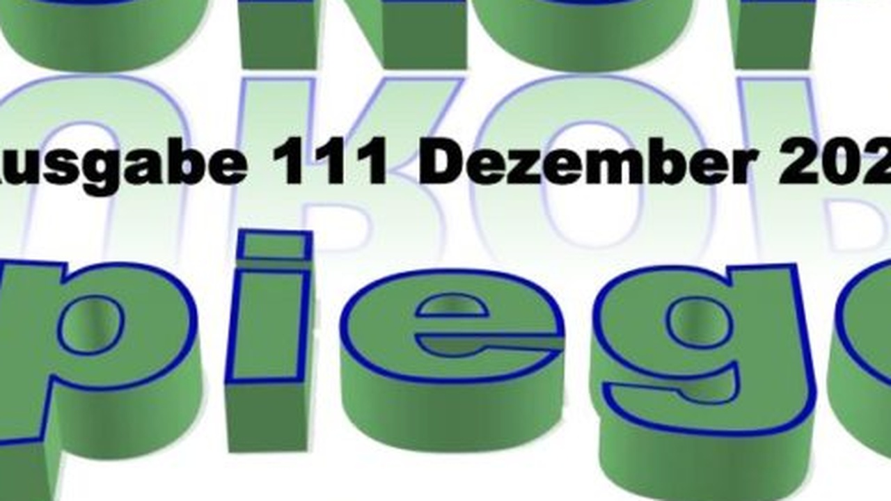 RT DE umgeht EU-Sanktionen mit Spiegel-Domains