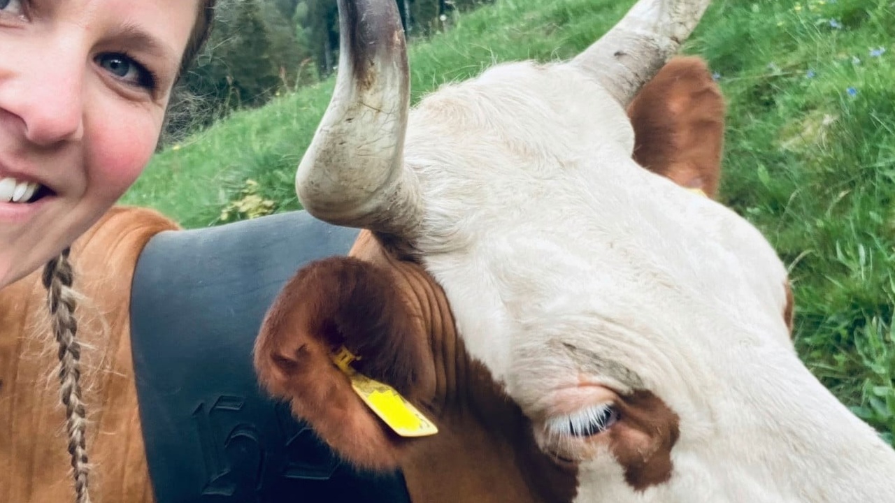 Schweizer Finanzaufsicht schließt Privatbank MBaer aufgrund von Russland-Geldern und Geldwäsche-Verstößen