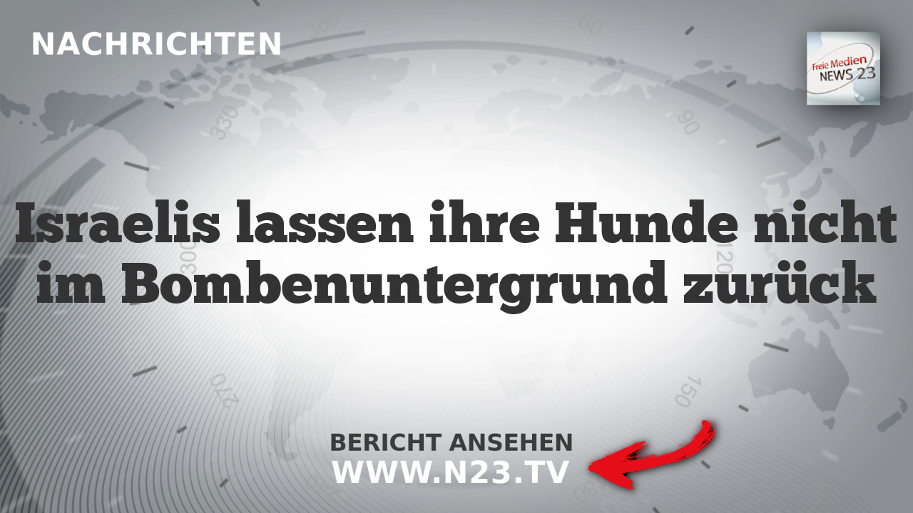 Israelis lassen ihre Hunde nicht im Bombenuntergrund zurück