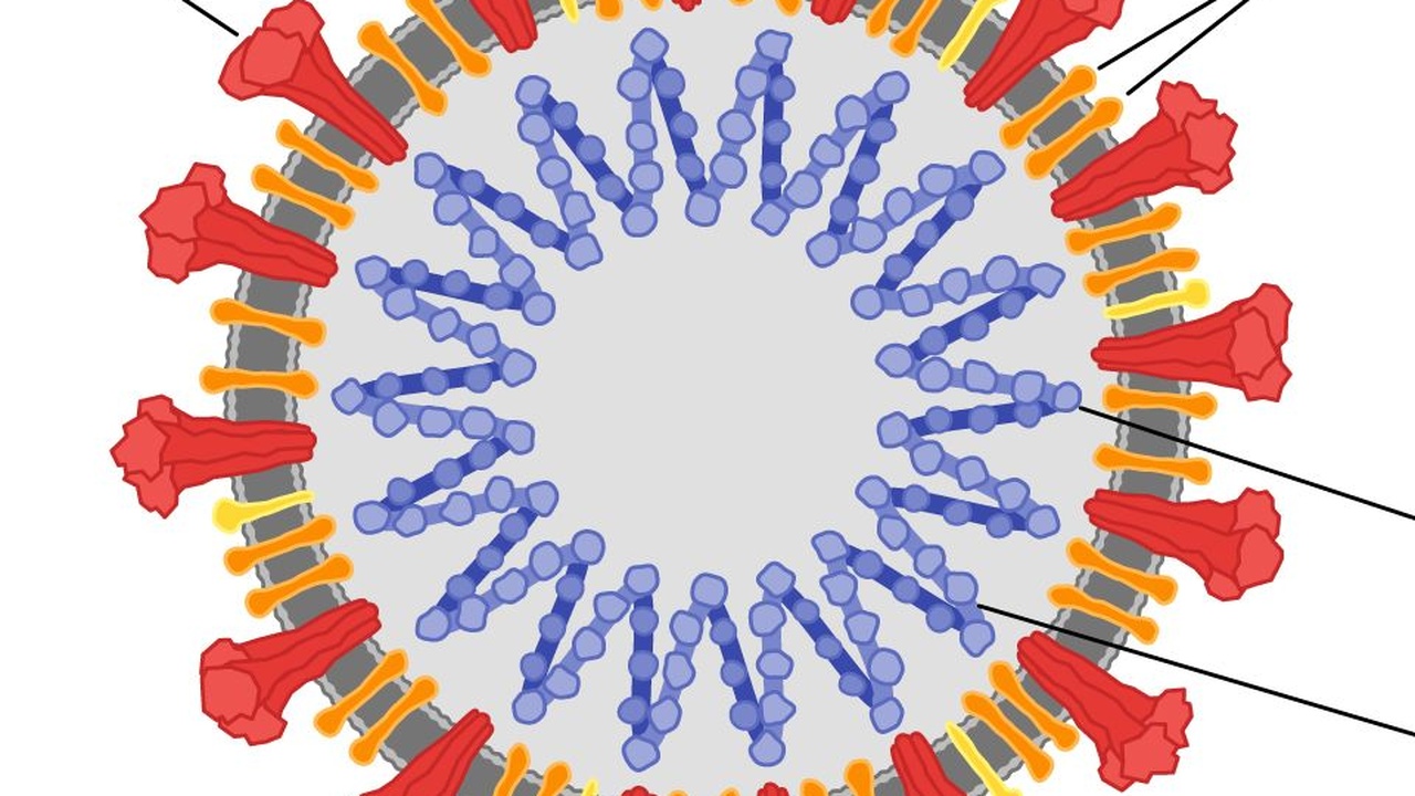 Corona-Hysterie wieder los: CDC warnt vor "kaum bekannten Virus"