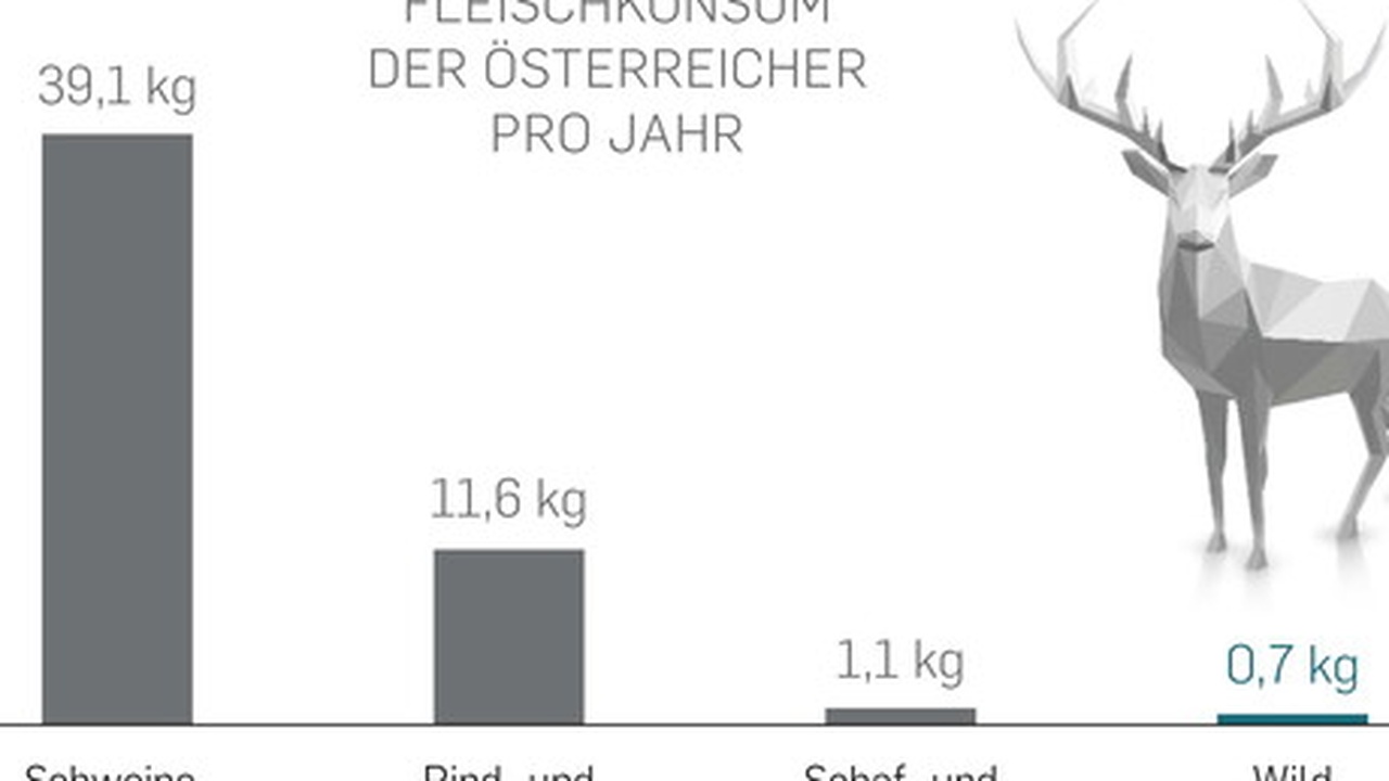 Die Jagdsaison ist eröffnet: Russlands Entscheidung, die Weltordnung neu zu gestalten