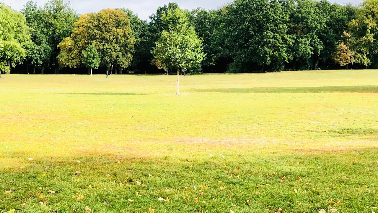 Polizei im Berliner Volkspark "Hasenheide" auf der Hut