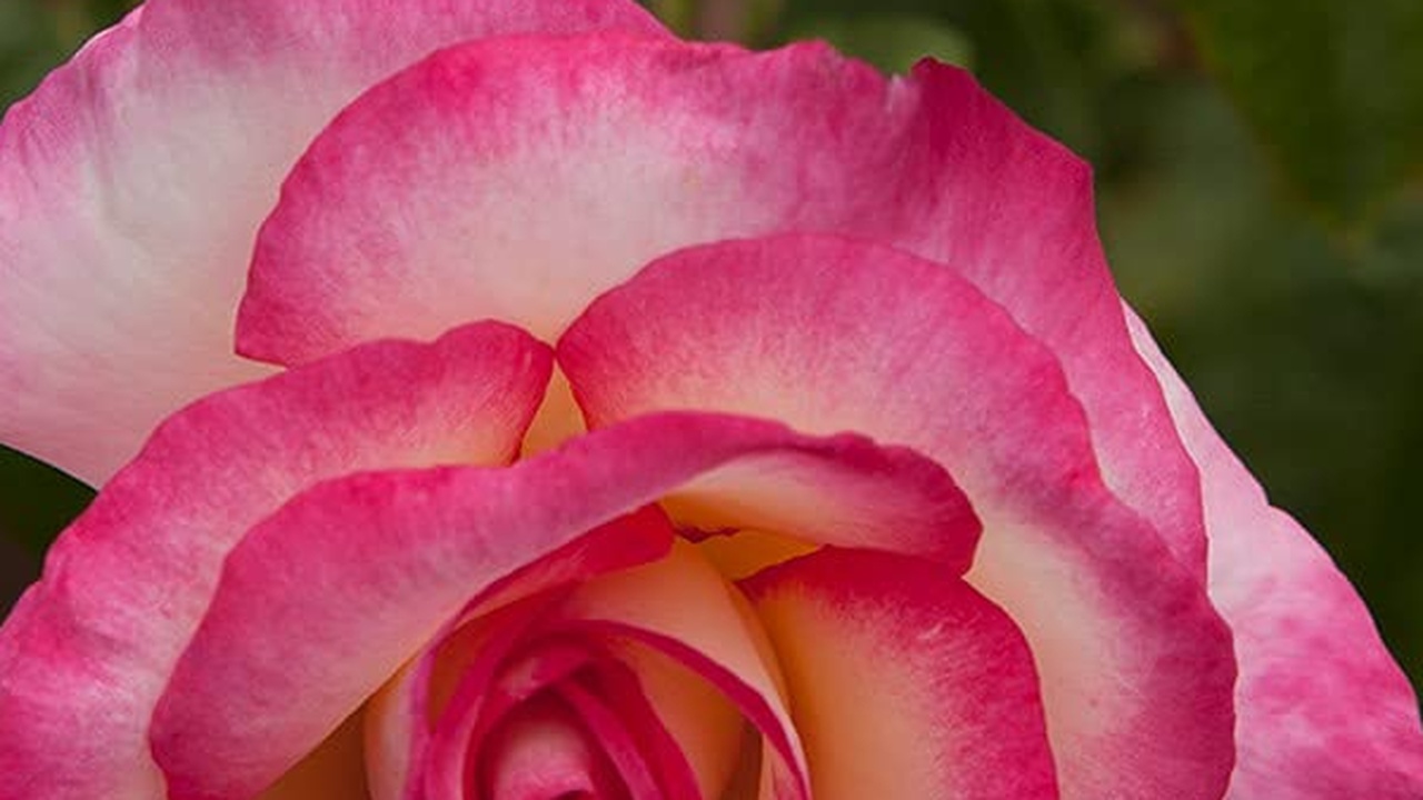 Rotes Meer wird zu entscheidender Knotenpunkt des globalen Handels