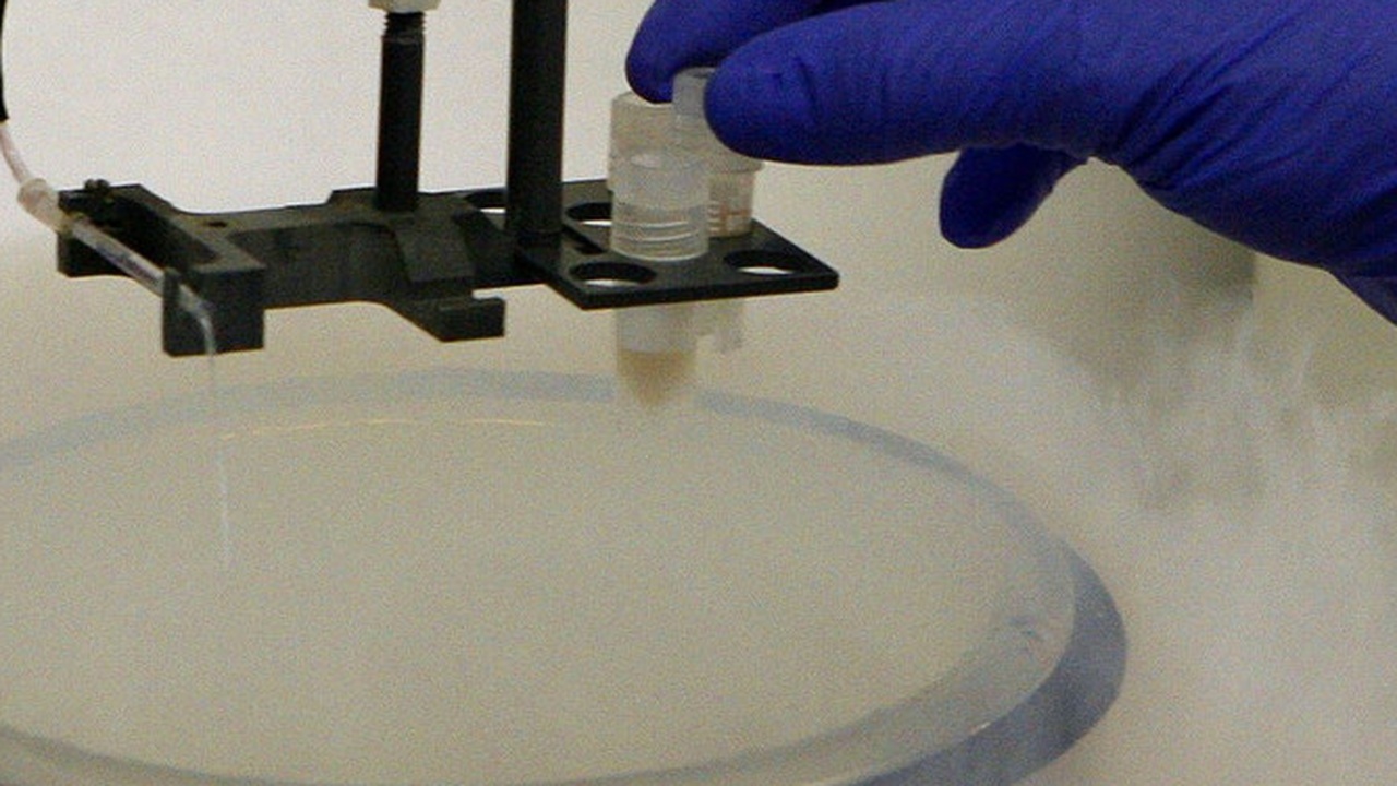 Russische Zentralbank klagt gegen EU-Einfrierung von russischen Anlagen