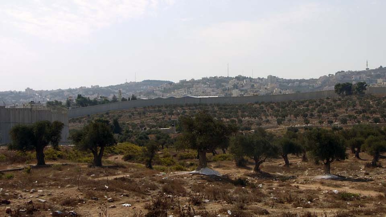 Siedler in der Westbank schossen zwei Söhne eines Palästinenser-Farmers tot