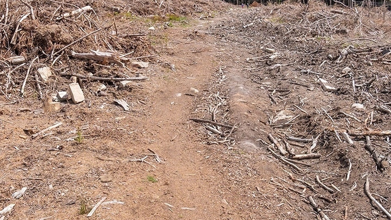 Sozialkahlschlag an der "Heimatfront"