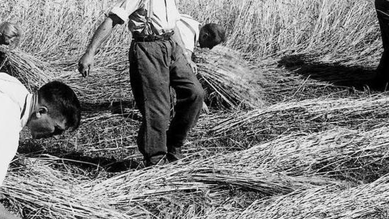 Frankreich plant Kriegswirtschaft und strategische Autonomie