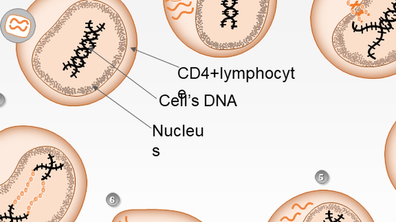 Neue biosekurelle Bedrohung durch aquatische Viren?