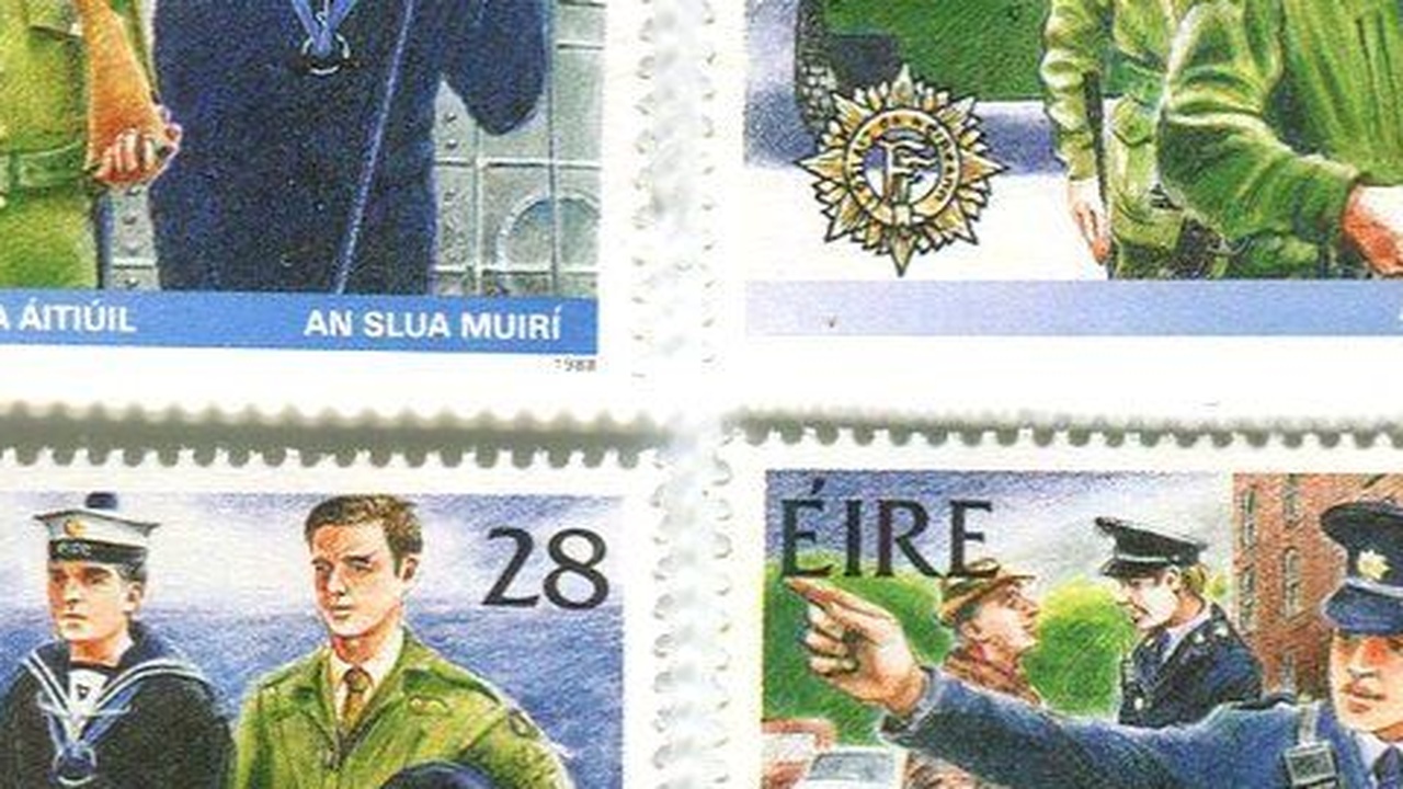 Proteste in Irland: Regierung reagiert mit Militär und autoritären Methoden