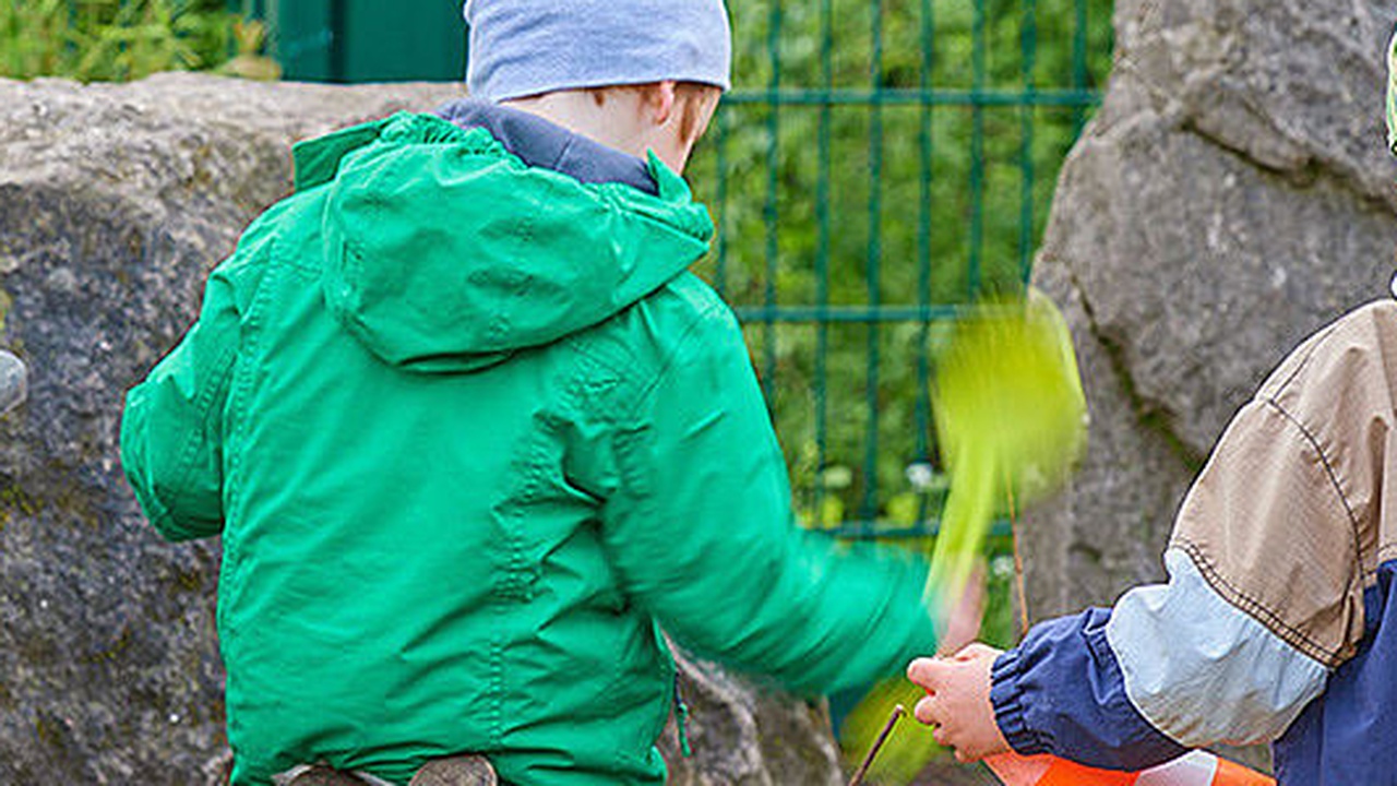 Waldorfschule in Berlin diskreditiert Jungen Freiheit-Bericht