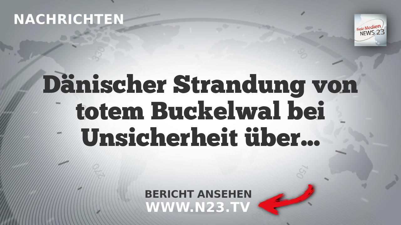Dänischer Strandung von totem Buckelwal bei Unsicherheit über Identität