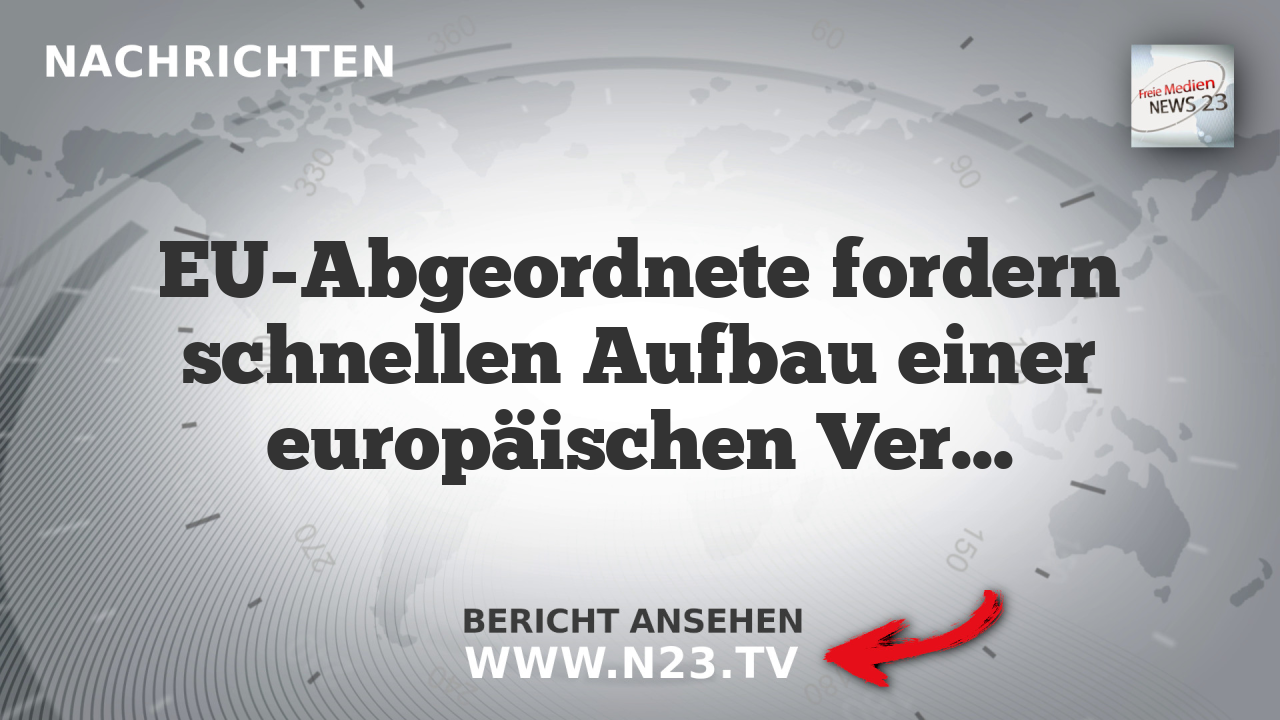 EU-Abgeordnete fordern schnellen Aufbau einer europäischen Verteidigungsunion